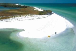 Charming 2-Bedrooms Central Clearwater Apartment With Private Backyard - Clearwater - 8
