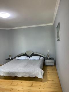 AlpHouseApartment Mestia - Mestia - 4