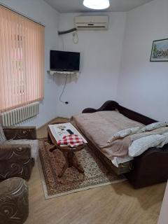 Apartman Merak - Soko Banja - 2