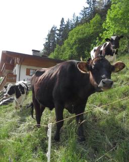 Agriturismo Kabishof - Funes - 3