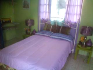 BUCKINGHAM VILLA -SUITES FULL KITCHEN-Rooms Variety - Buff Bay - 4