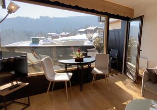 Studio lumineux avec vue sur le Mont Blanc - Cordon - 3