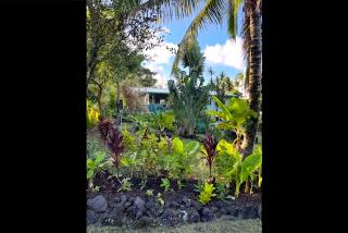 Seaside House and Aloha Bungalow - 2