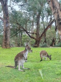 La cachette bushland hideaway - 0