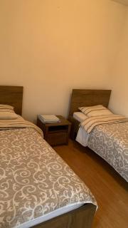 Apartmani Green Olive - Šušanj - 1