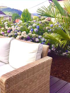 Les magnolias en Alsace - meublé de tourisme 3 étoiles - 6