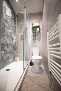 Hammersmith Apollo 1 Bedroom Apartment - Londra - 6