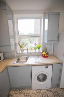 Hammersmith Apollo 1 Bedroom Apartment - Londra - 3