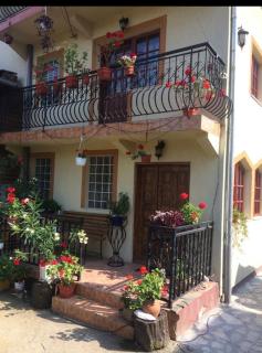 pensiunea Casa Eliza Maria - Bucşeneşti - 9