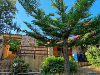 Casa Araucaria - 9