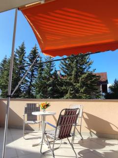 Apartman Bor - 6