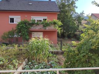 Apartman Bor - 9