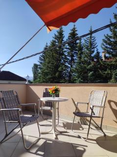 Apartman Bor s velikom terasom idealan za boravak s obitelji - 1