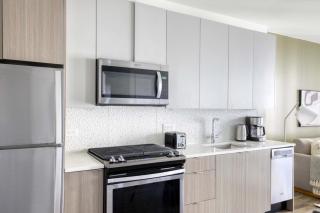 South Loop 1BR w gym pool nr Grant park CHI-763 - 4