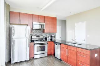 South Loop 2BR w gym roof nr Grant park CHI-770 - 3