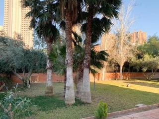 Puerto Romano Appartment - Benidorm - 3