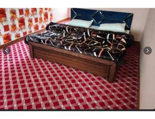 Hotel Ritz, Srinagar - Srinagar - 3
