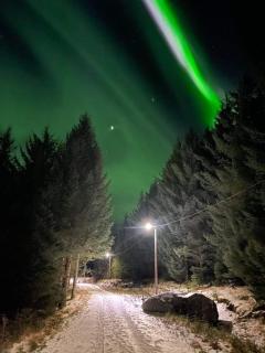 Waterfront mountain view cabin Lofoten - Liland - 3