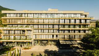Gori Inn - 9