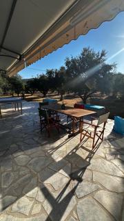 Elaiocampus luxury house - Kamáres - 7