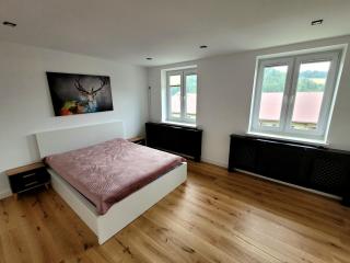 Apartament Wrzos - Cisna - 2