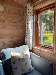 Mallard Lodge - Arscott Lodges - 5