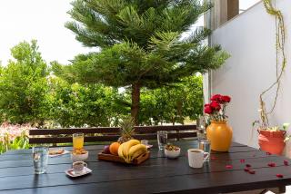 The backyard- Κατοικία στην Αγριά, Βόλου - 6