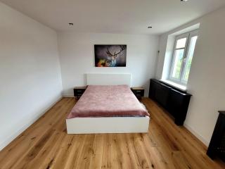 Apartament Wrzos - Cisna - 5