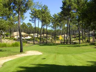 Villa near Lacanau-Océan with Private Pool - Lacanau - 2