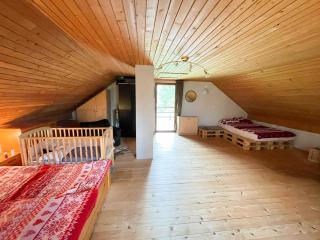 Cabin in Nature - Nova Vas - 2