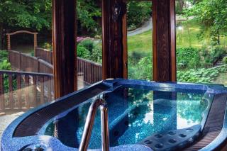 Modrzewiowy Zdrój - 5