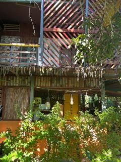 Orgánico Punta Riel - Cahuita - 5