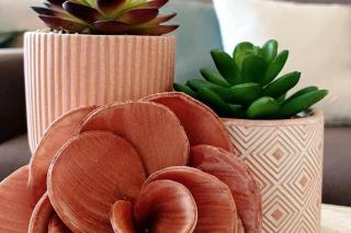 Mar y confort para 4 personas - 6