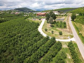 La Collina dei Ciliegi - 8