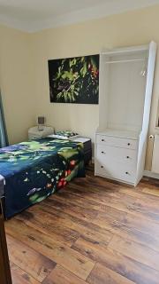 Cityappartement am Kirschberg - 2