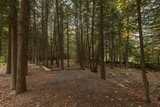 Lakefront cottage with Fireplace Sauna Mini forest - 2