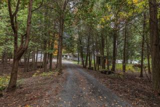 Lakefront cottage with Fireplace Sauna Mini forest - 4