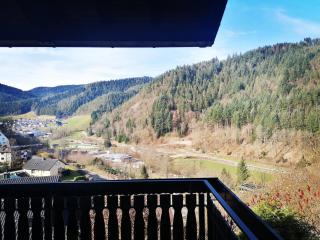 Haus Schwarzwaldblick - Hornberg - 7