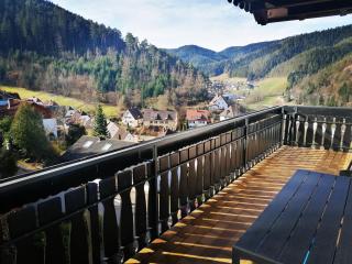 Haus Schwarzwaldblick - Hornberg - 9