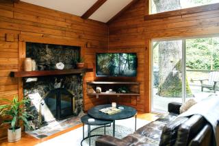 Dog Friendly HotTub 20 Min DT Black Mtn - Black Mountain - 7
