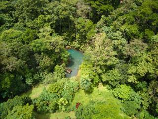 Santuario de Ranas - Explora nuestro paraíso natural - San Lorenzo - 0