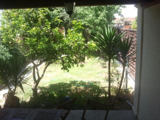 Is Pardinas - 1