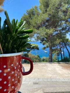 Apartments Atila - Mali Lošinj - 8