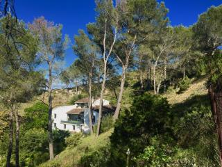 Arty Provence, vue, calme et piscine chauffée dans les Alpilles proche St-Rémy-de-Provence - 8