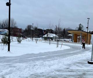 Beach House 5 Star Gem with a Muskoka room and Yoga Studio - 4