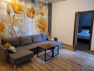 Aparthotel Krzywa - Katowice - 6