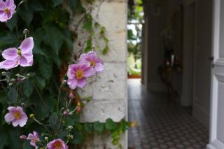 Domaine de l'Ermitage - 3