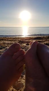 Cwtch, White Horse, Seal Bay Resort - Selsey - 4
