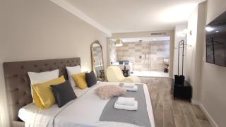 Instant Plaisirs - T2 60m2 avec Terrasse et Balnéo privative - 9