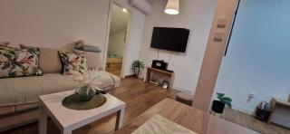 Apartman Harmony - Vrnjačka Banja - 0